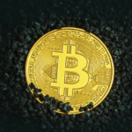 The Role of Incentives in Blockchain Networks